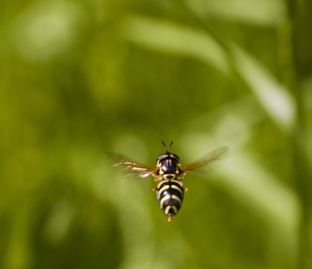 Photograph by Yana Egorova