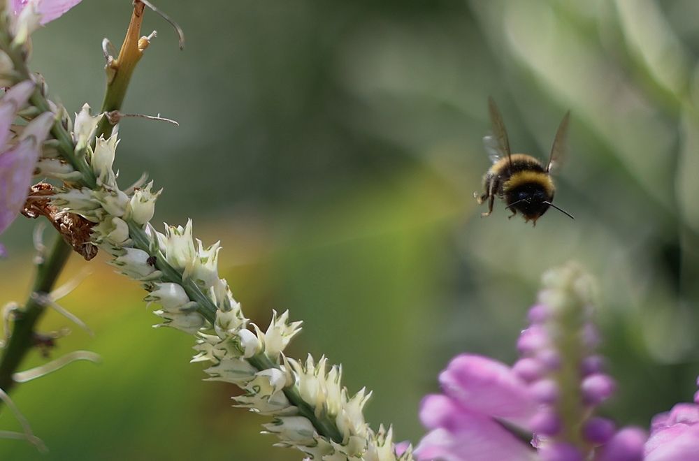 Photograph by Yana Egorova