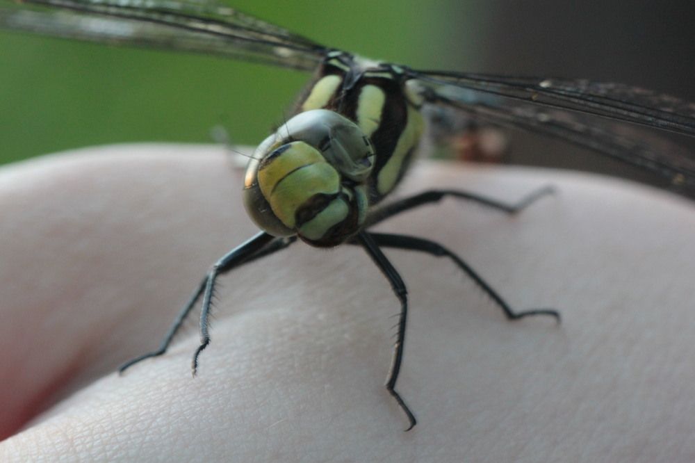 Photograph by Yana Egorova