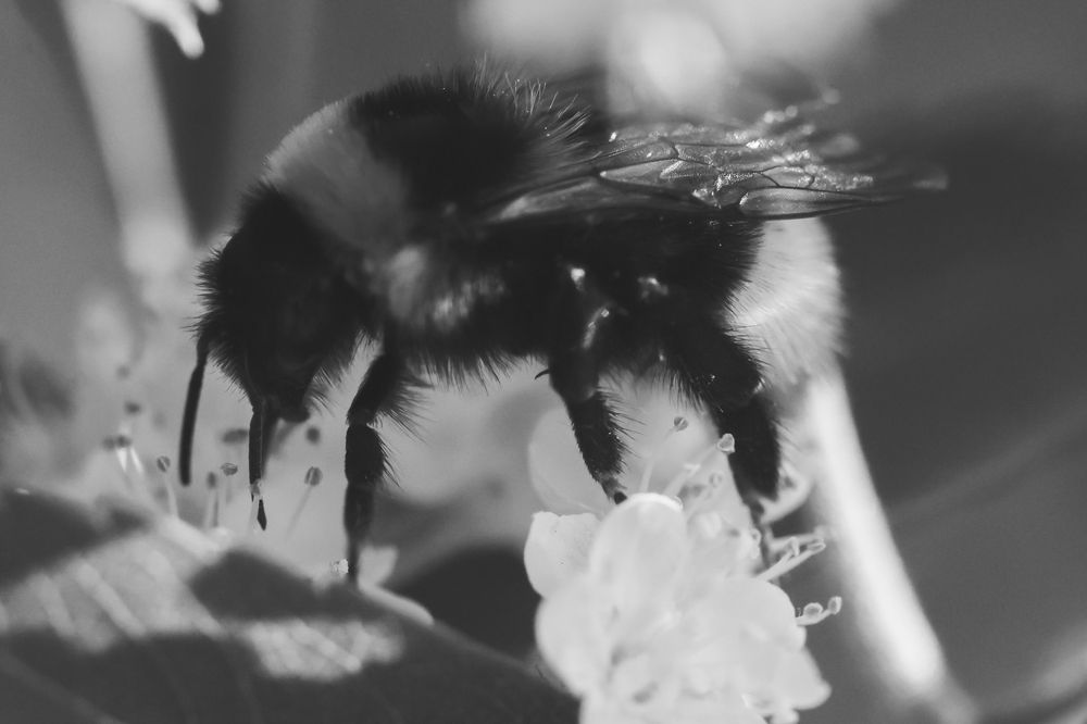 Photograph by Yana Egorova