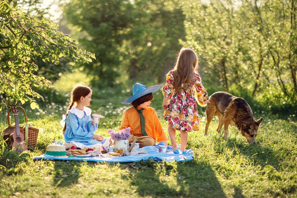 Photograph by Ипатьева Анна