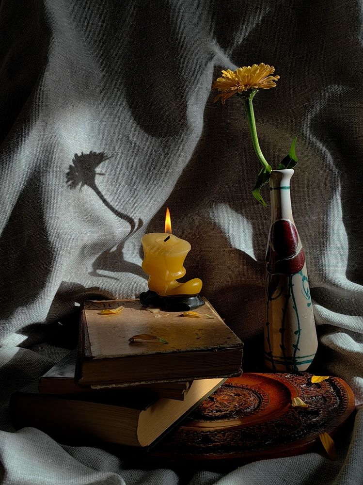 Фотография автора Ольга Панасюк