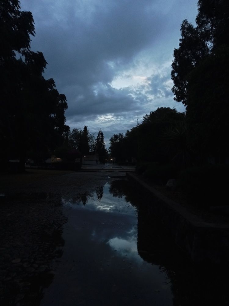 Photograph by Sofia Angeles Roman