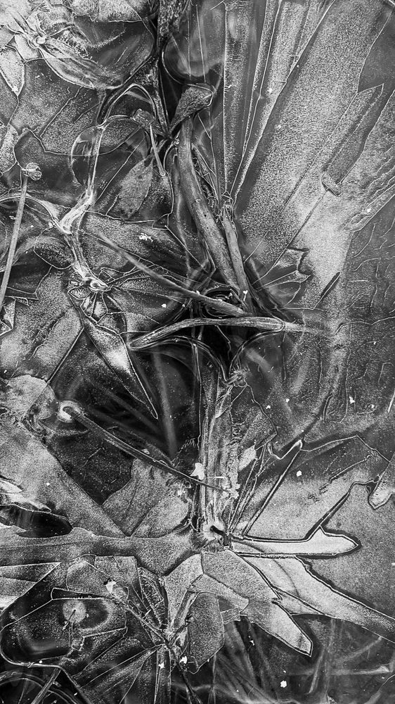 Photograph by Юлия Балашова