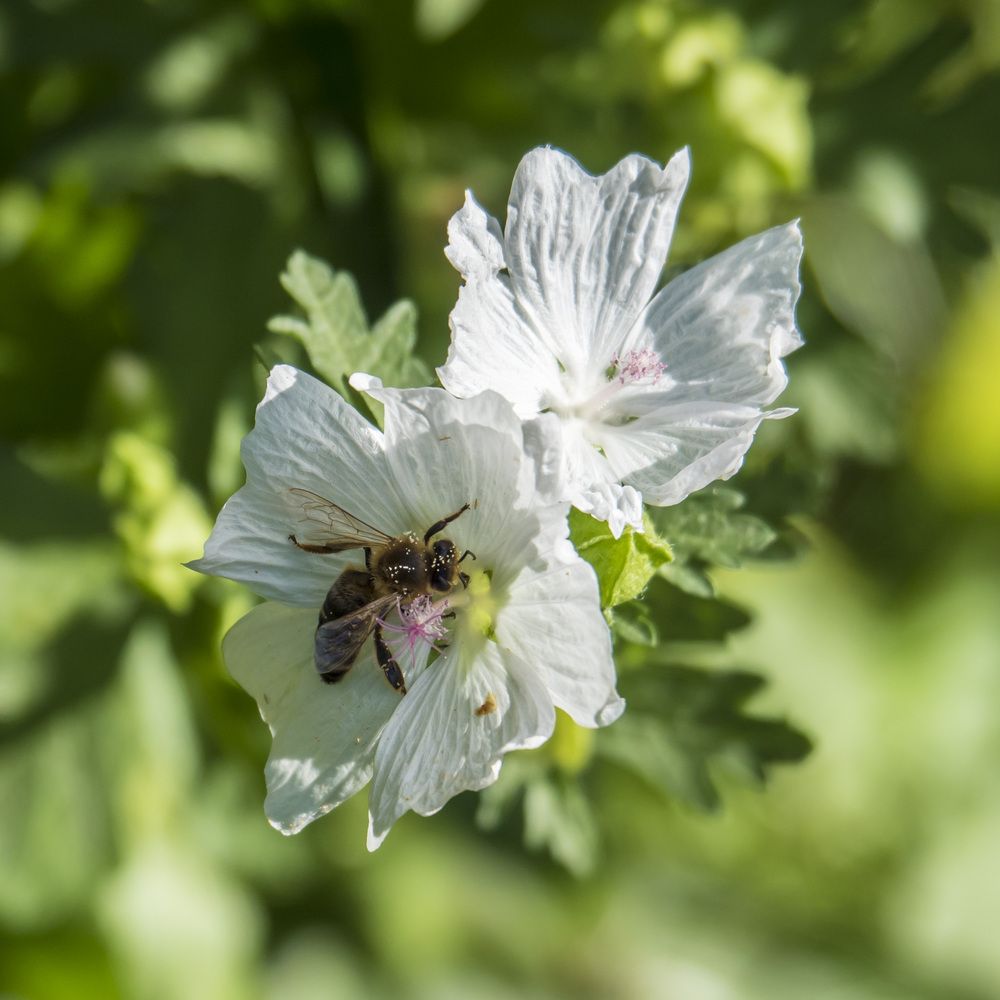 Photograph by Александр Журавлев