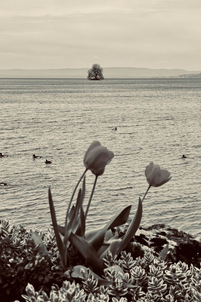 Photograph by Малика Маткарим