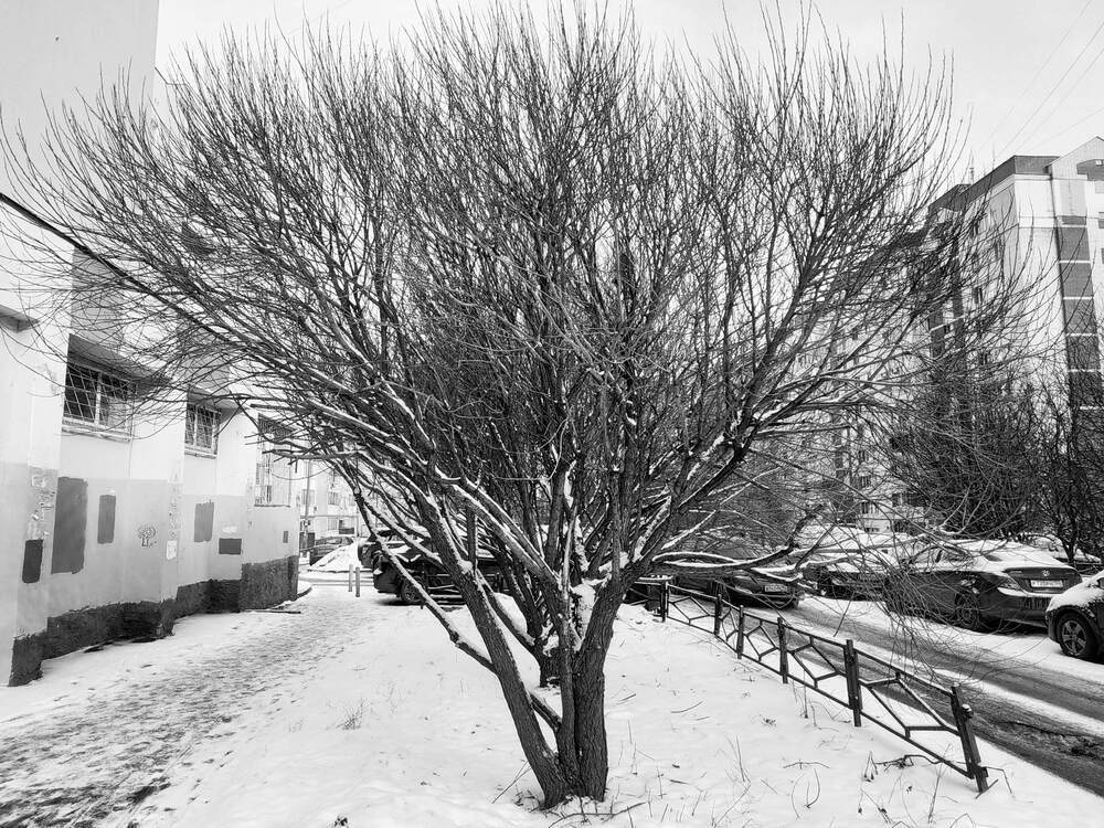 Photograph by Алексей Чурушкин