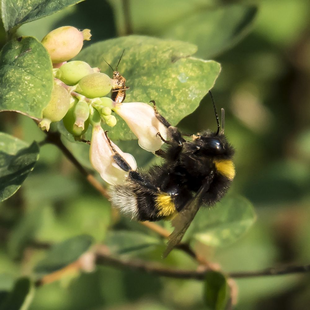 Photograph by Александр Журавлев