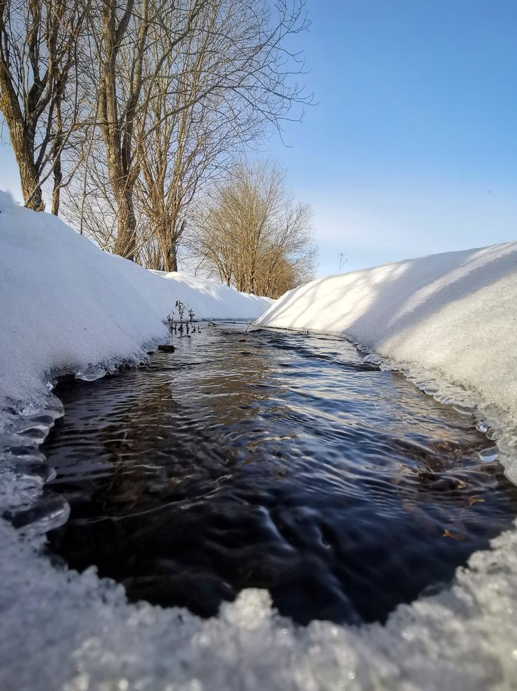 Фотография автора Андрей Шестаков