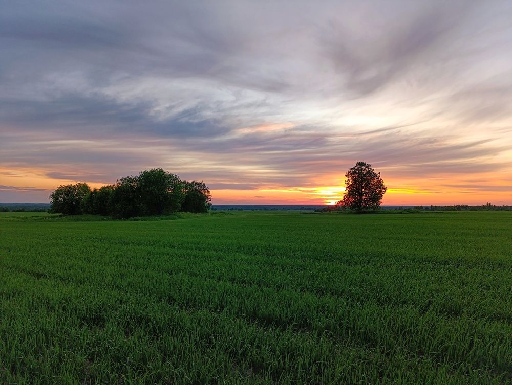 Фотография автора Андрей Шестаков