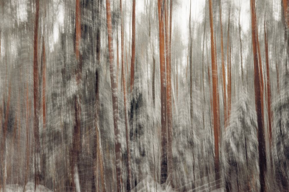 Фотография автора Онучина Юлия