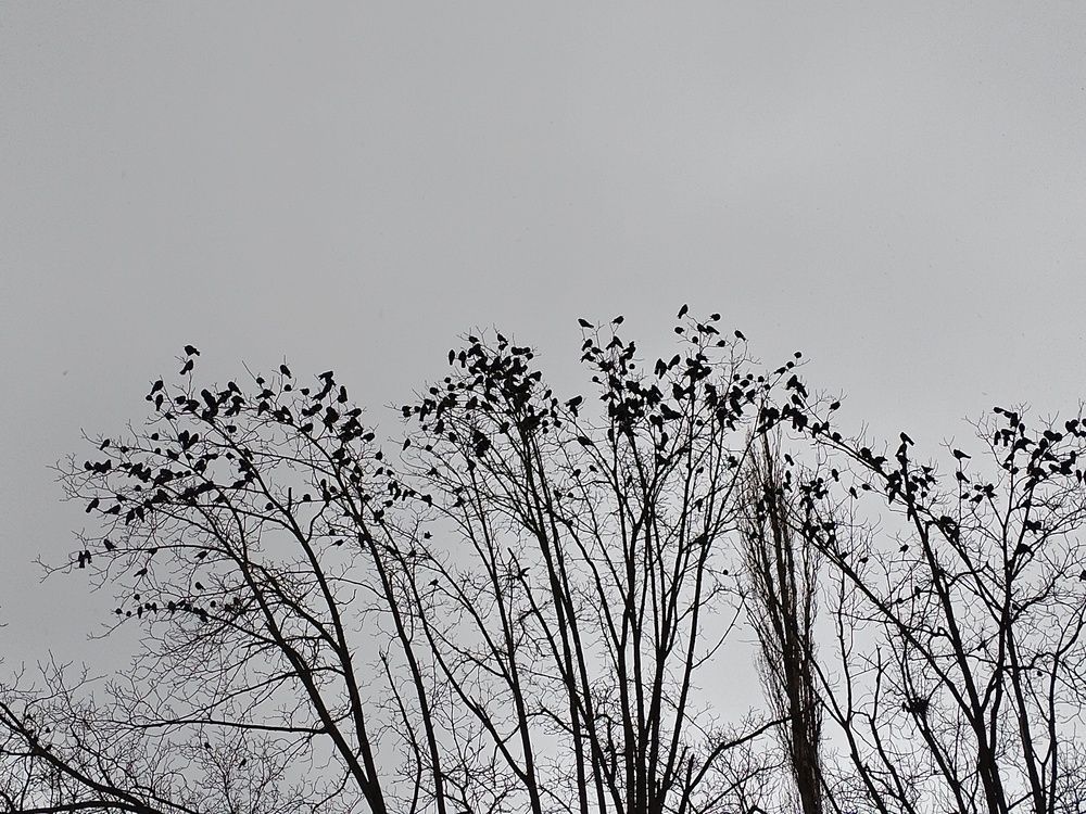 Photograph by Николай Пилишин