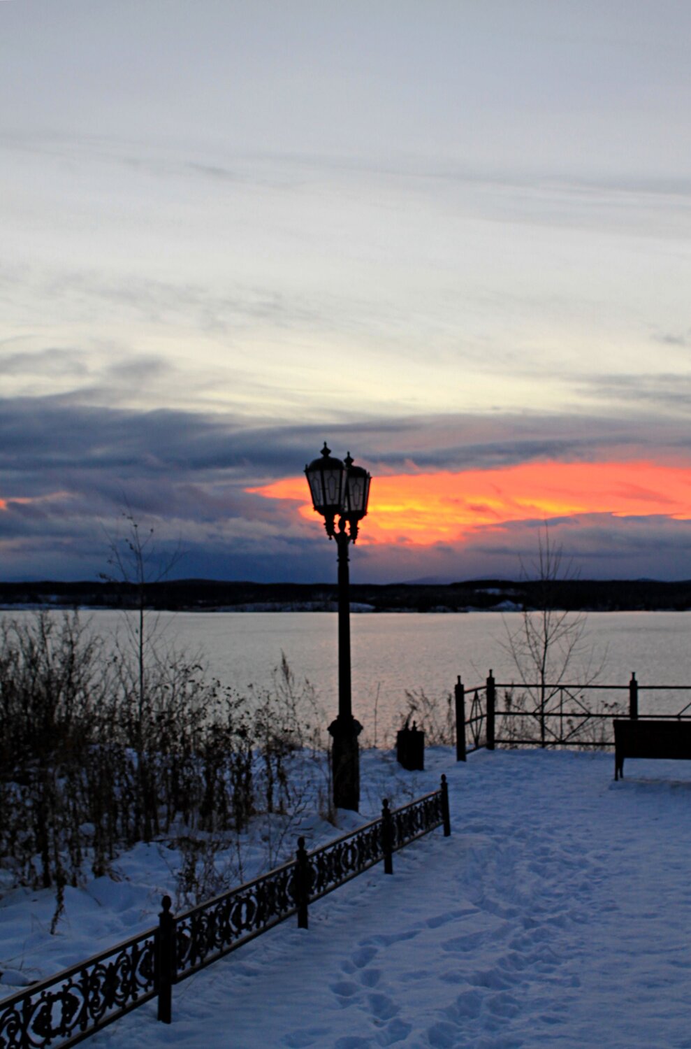 Photo #11919702
