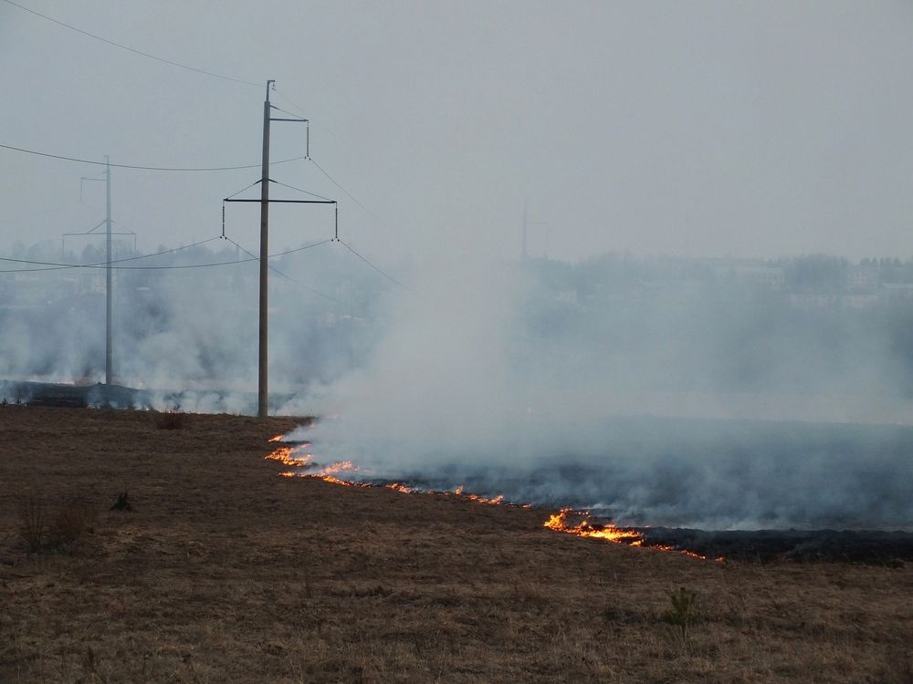 Фотография автора Андрей Шестаков