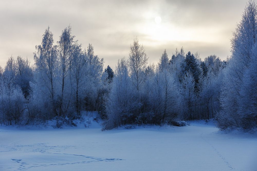 Фотография автора Леонид Никитин
