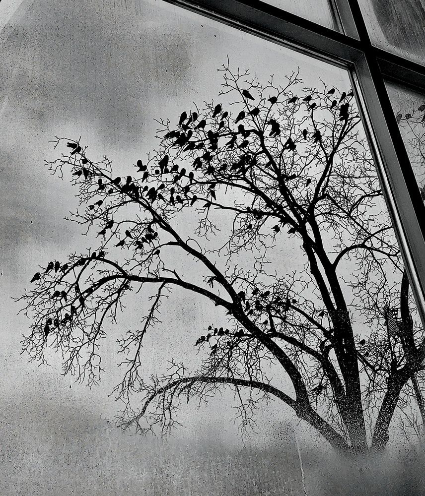 Photograph by Николай Пилишин