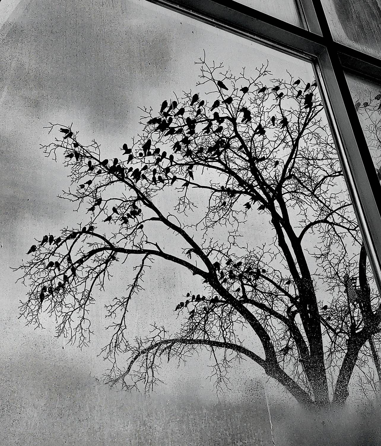Photo #11919724