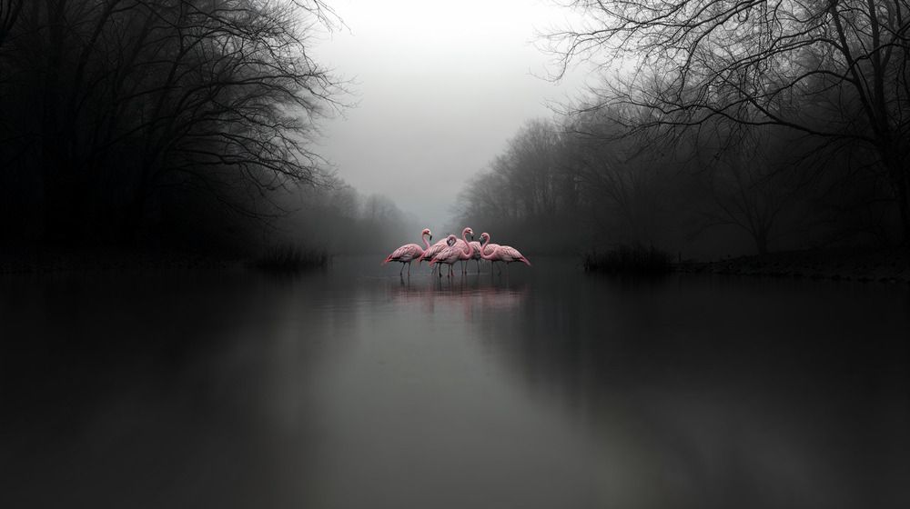 Photograph by Miralayev Tahir