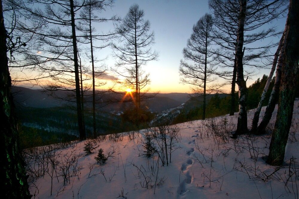 Photograph by Владимир Семиченко