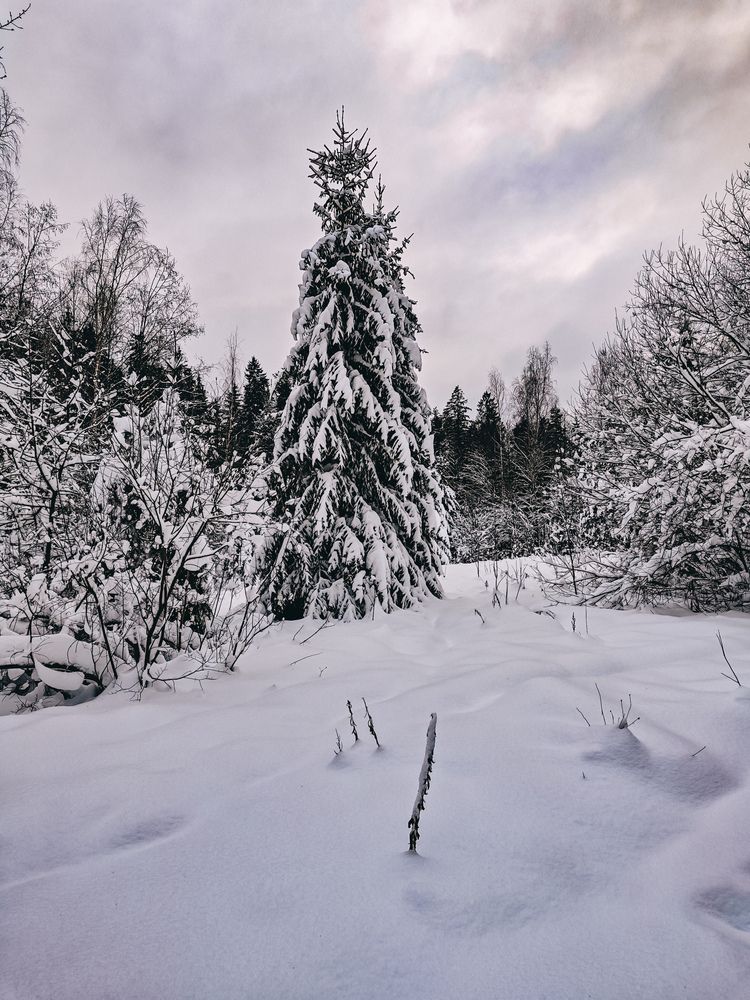 Photograph by Светлана Фоменко