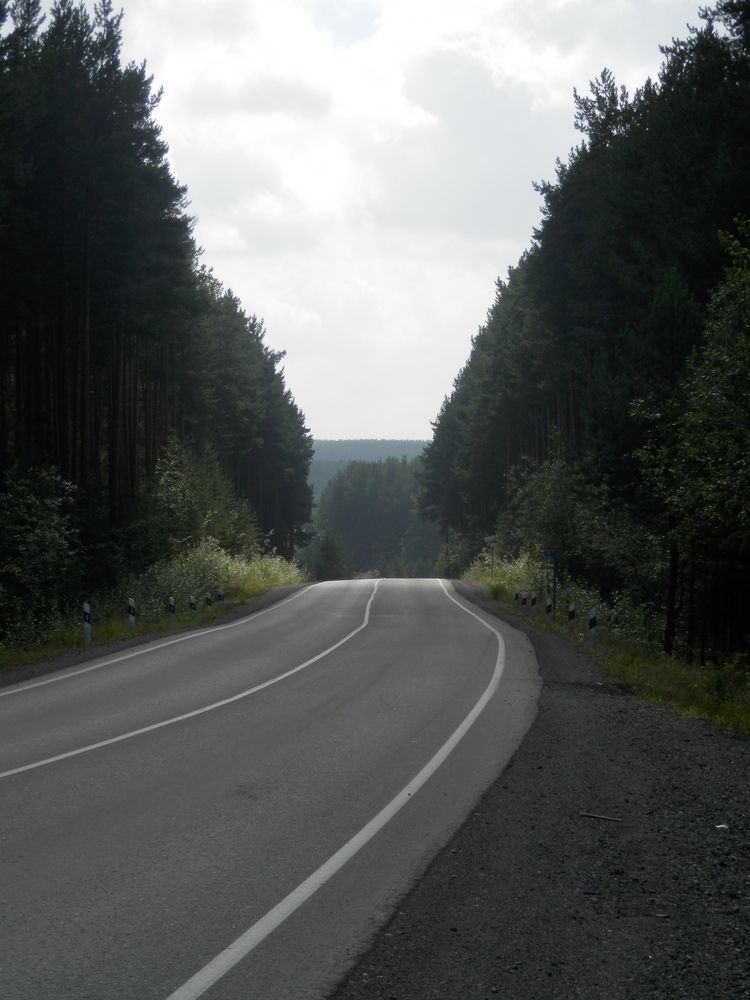 Photo #11919753