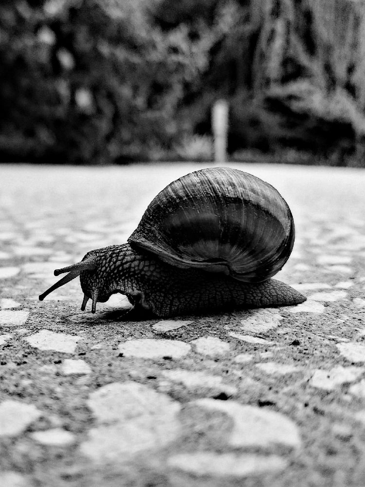 Photograph by Юлия Гусарова