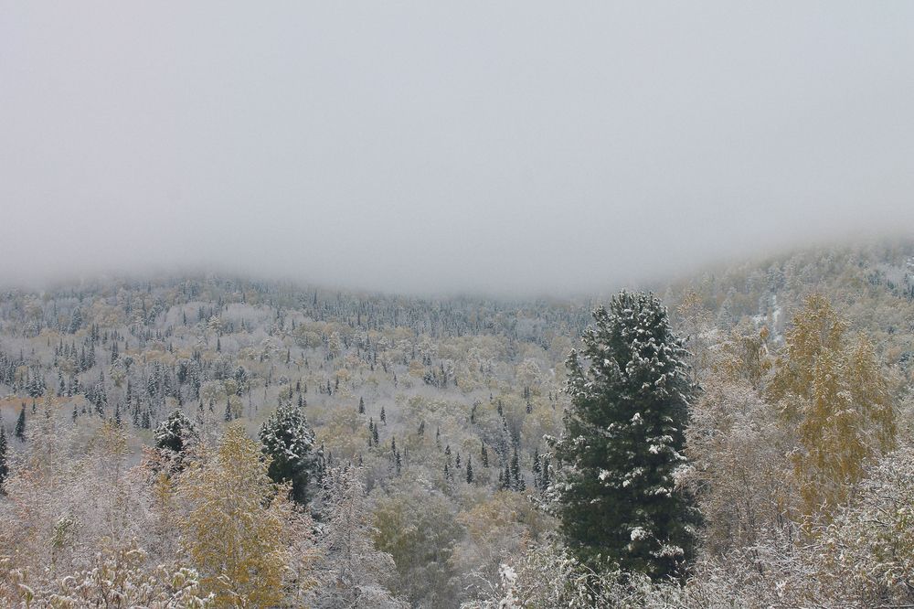 Photograph by Мария Колчанова