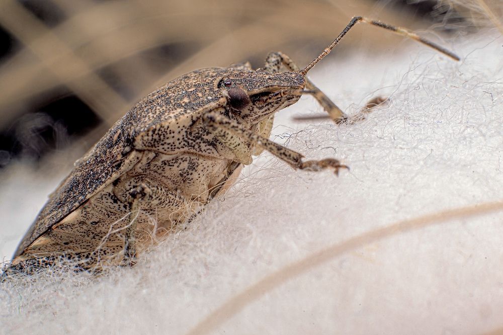 Фотография автора Олег Васильев