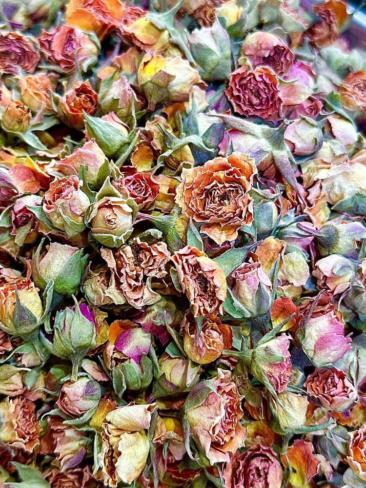 Photograph by Neda Namavar