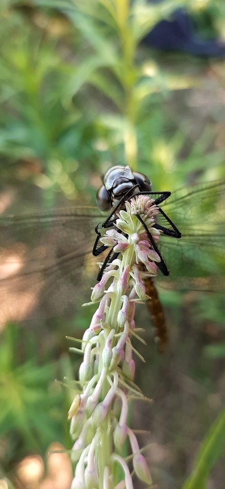 Photograph by Игорь Тюменцев
