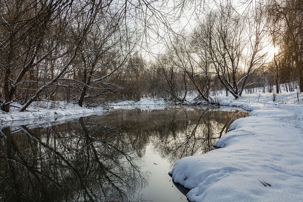 Photograph by Victor Shaposhnikov