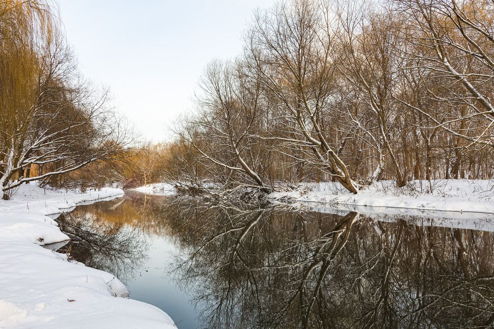 Photograph by Victor Shaposhnikov