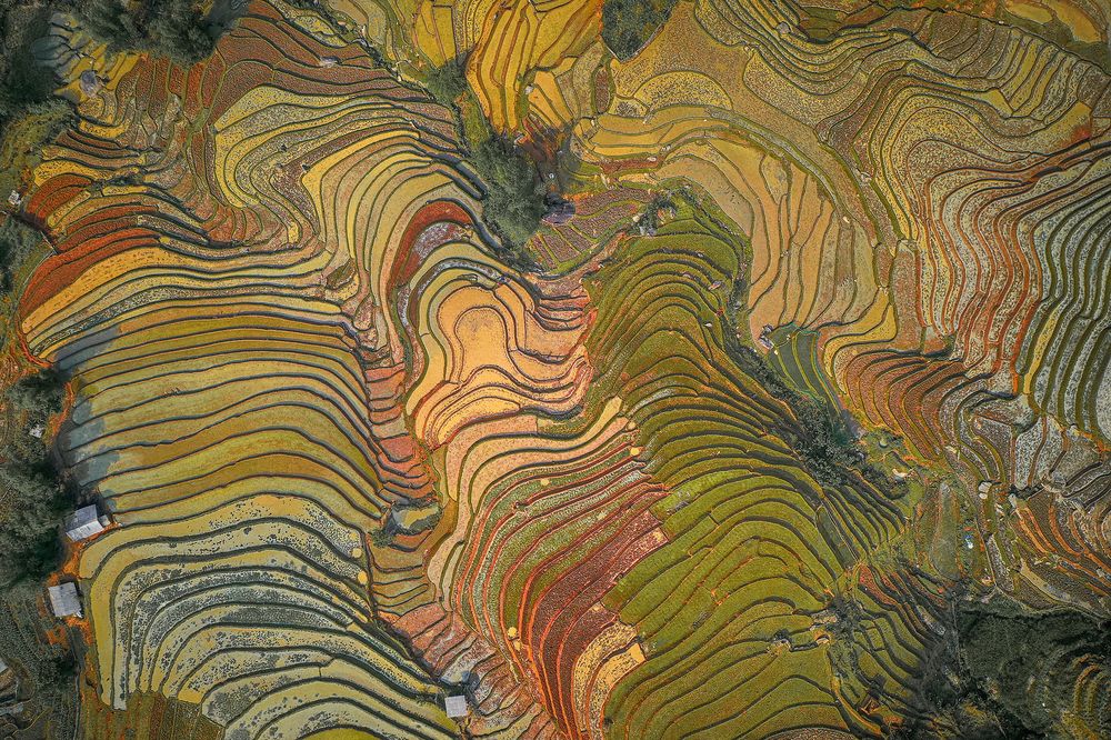 Photograph by Do Thi Thanh Binh