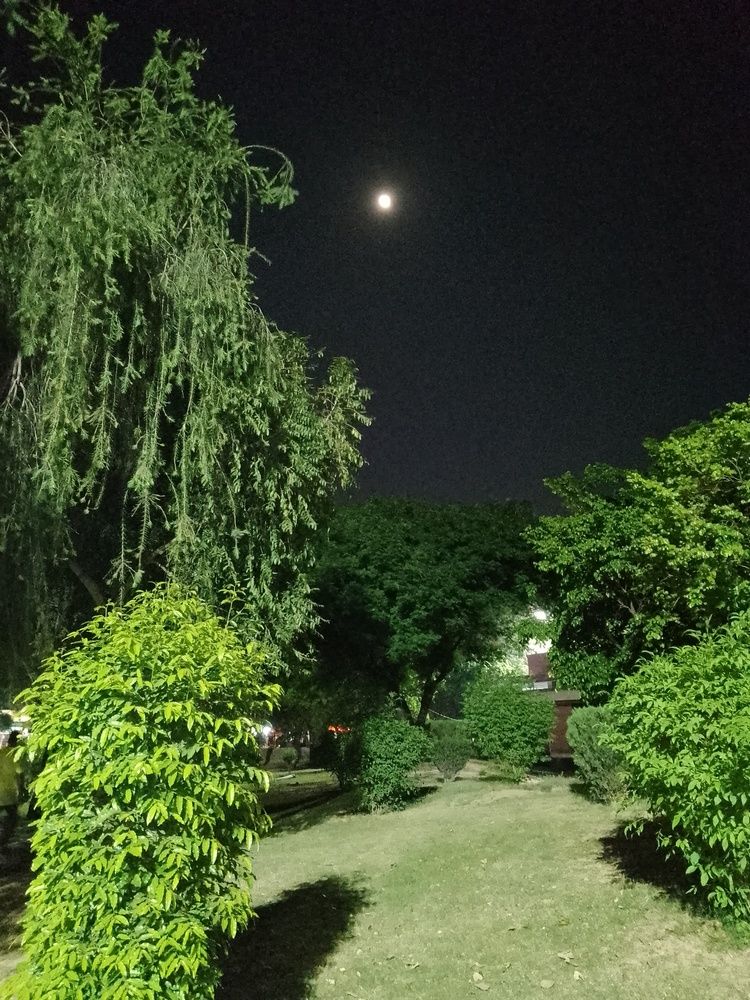 Photograph by Nisha
