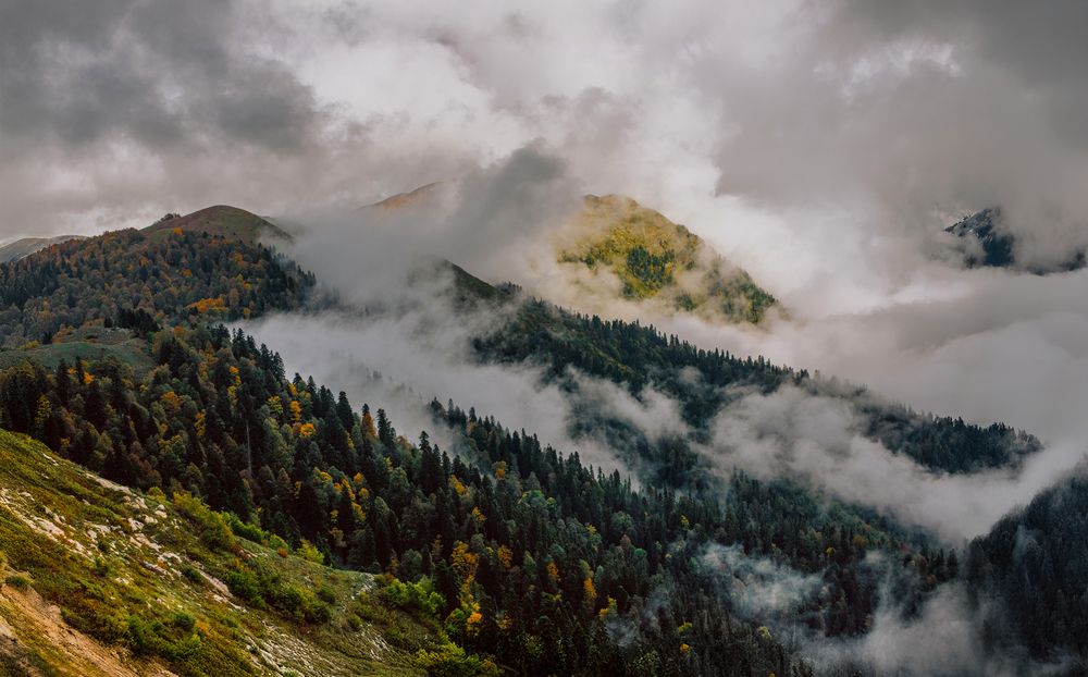 Фотография автора Anton