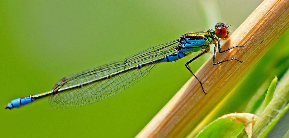 Photograph by Marjo Steffen