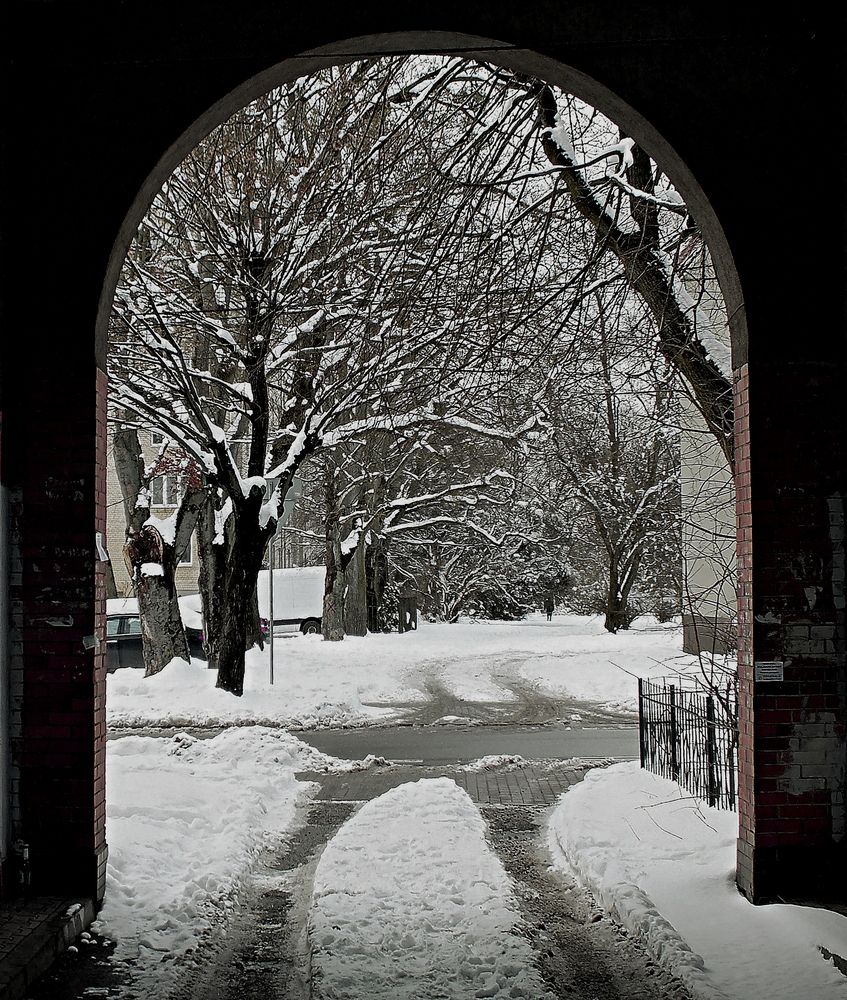 Photograph by Виктор Савельев