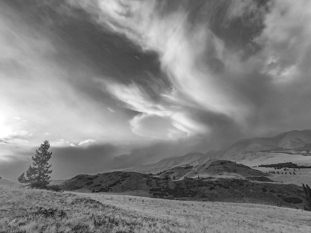 Photograph by Надежда Михайлина