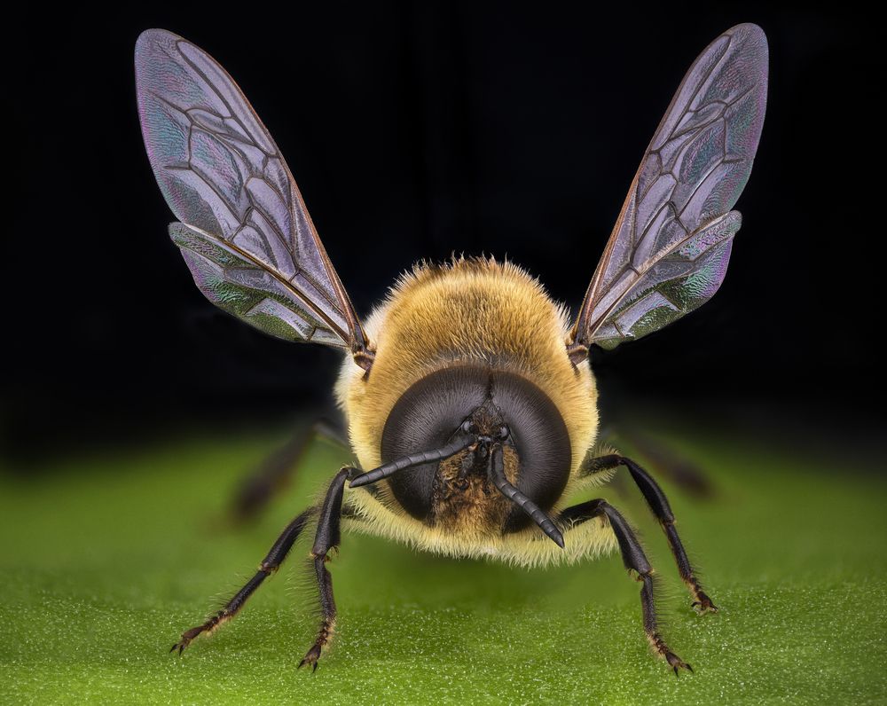 Photograph by Ganev Tsvetan