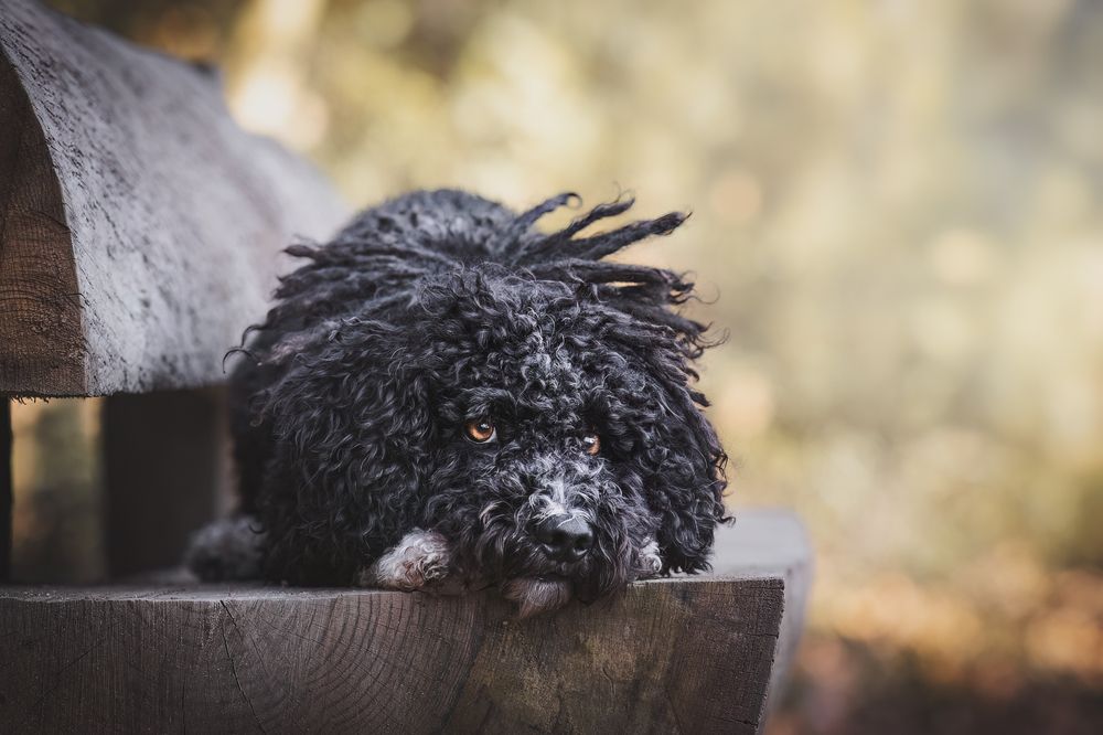 Photograph by GRISELDA FERNANDEZ