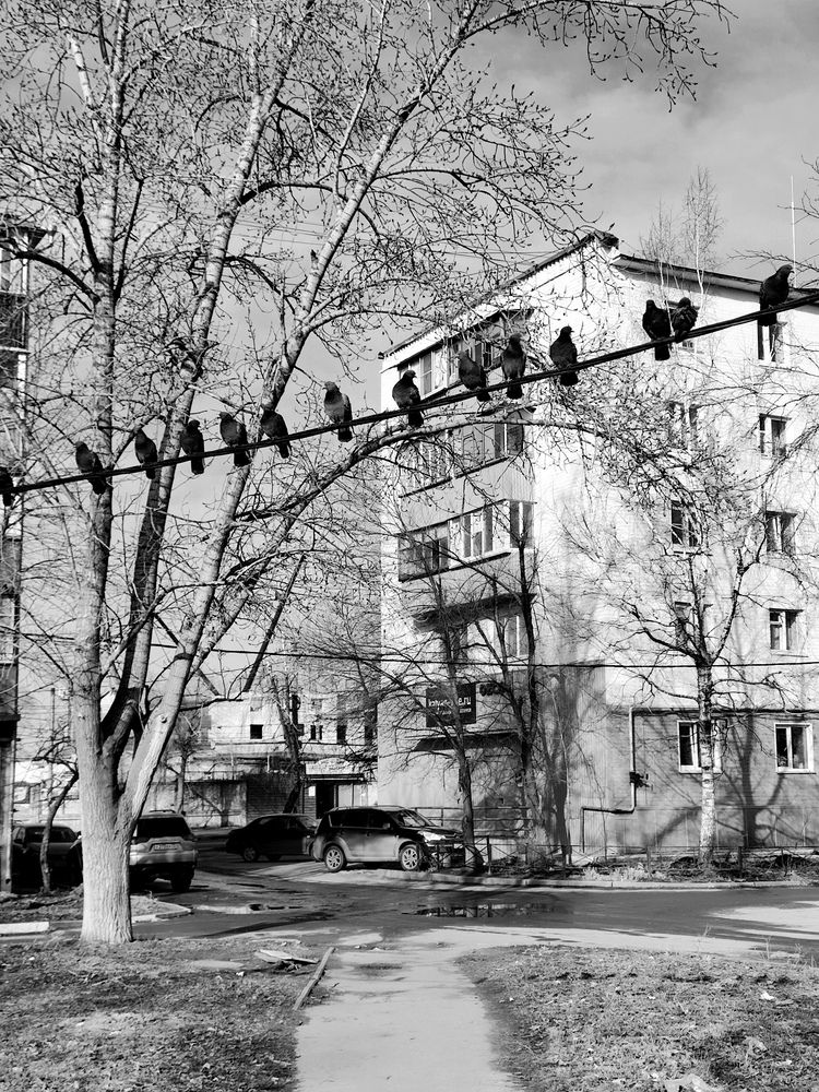 Photograph by Ольга Иванова