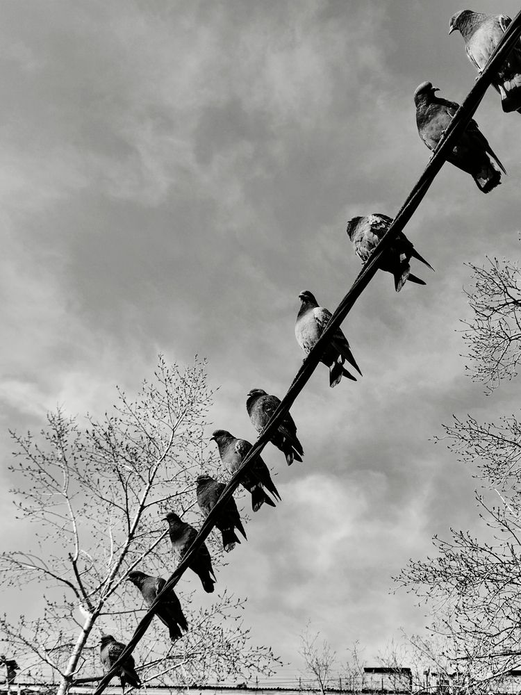 Photograph by Ольга Иванова