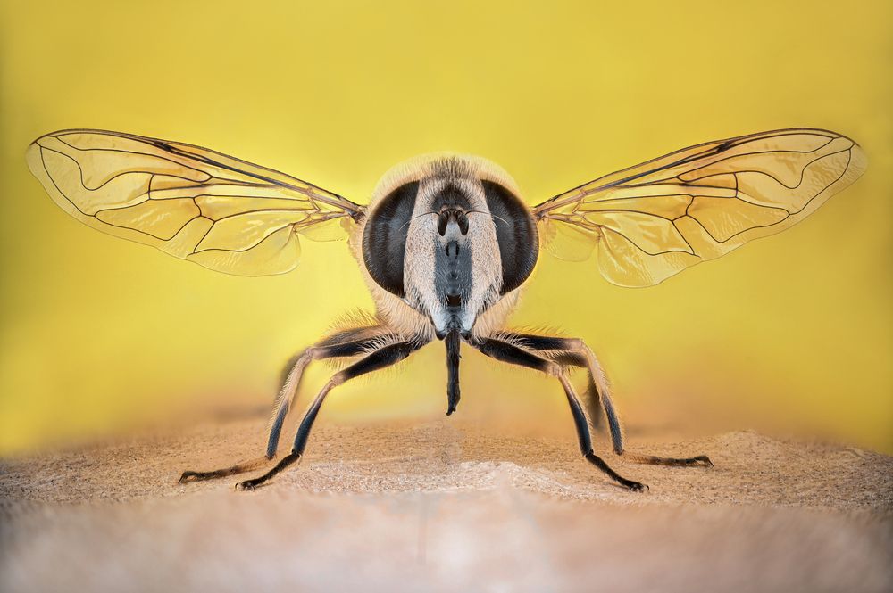 Photograph by Ganev Tsvetan