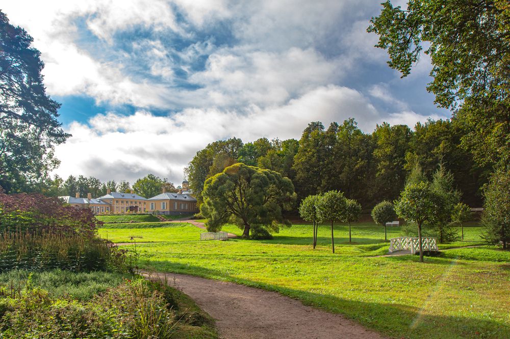 Утро в парке Монрепо