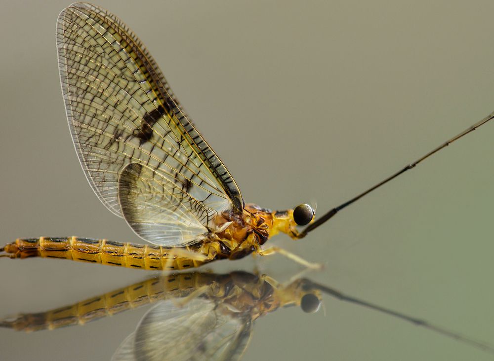 Photograph by Урасов Олег