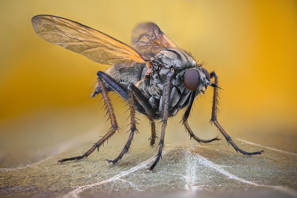 Photograph by Ganev Tsvetan