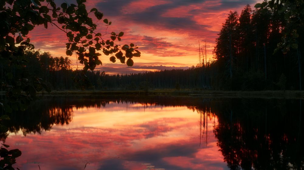 Photograph by Семенюк Василий