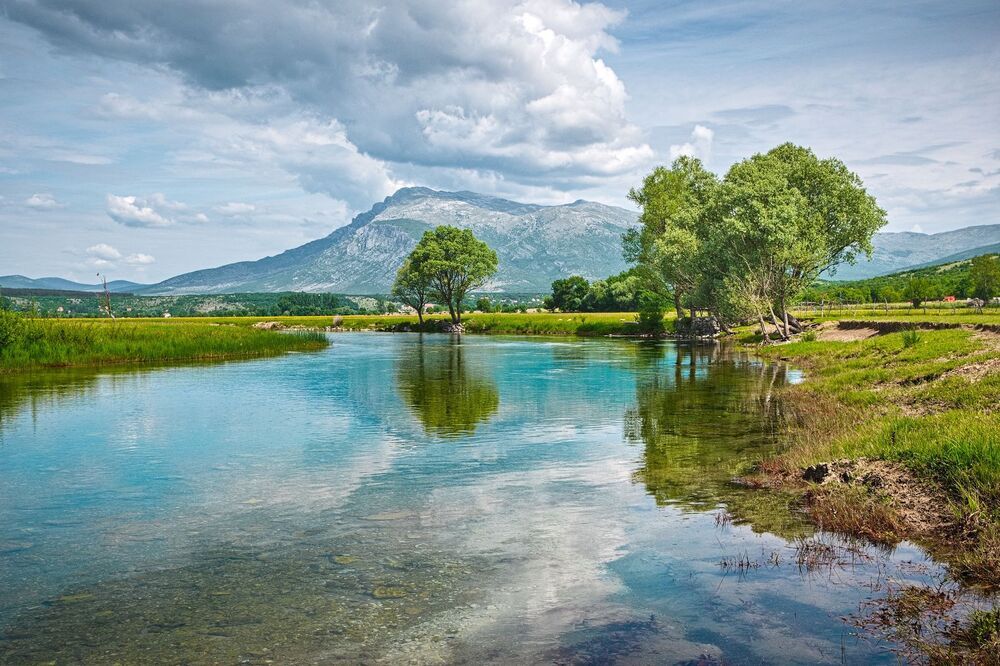 Photograph by Jan Musil