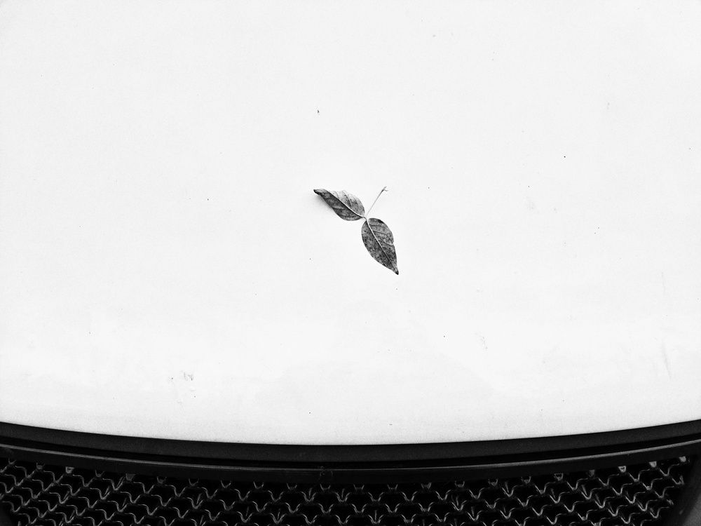 Photograph by Дмитрий Давидов