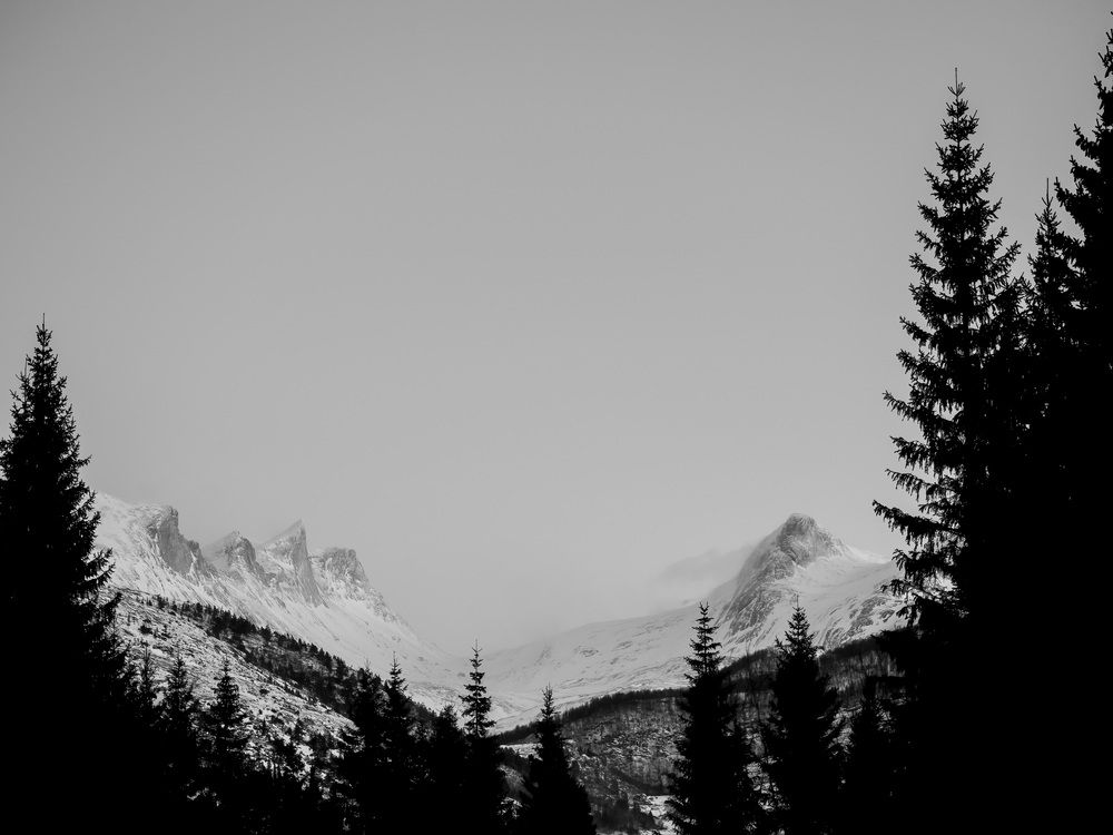 Photograph by Grete Stensrød